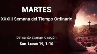 Evangelio del martes 19 de noviembre 2024 - XXXIII Semana del Tiempo Ordinario