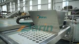 Pet patty forming machine to USA