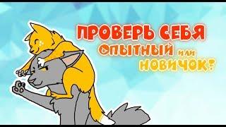 Catwar | Игра глазами новичка и опытного #1