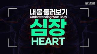 Heart [Understanding Your Body]