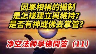 因果相稱的機制，是怎樣建立與維持？是否有神或佛去掌管？【净空法師學佛問答（11）】