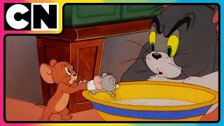 Tom and Jerry | Butch’s Cat-astrophic Date! | Compilation | #90scartoons | @cnindia