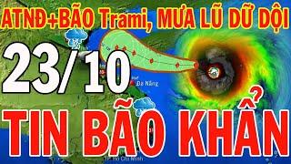 Dự báo thời tiết hôm nay và ngày mai 23/10/2024 | Dự báo thời tiết trong 3 ngày tới