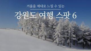 강원도 겨울 여행지 TOP6 겨울왕국 뺨치는 강원도 여행 스팟 모음! 맛집부터 관광까지 완벽한 국내 겨울여행지 ️