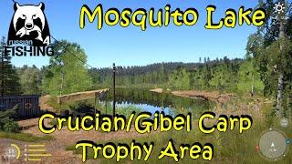 Russian Fishing 4 Mosquito Lake Beginner Trophy Area