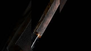 Blaser FBX