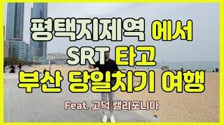 평택지제역 에서 SRT 타고 부산 당일치기 여행 #srt #지제역  #부산여행 #임장