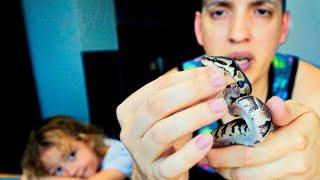 How To TAME A Baby Snake