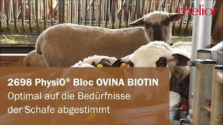 2698 PhysiO® Bloc Ovina - speziell für Schafe und Lämmer