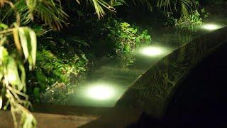 The Garden Gurus - Luminaire Garden Lighting