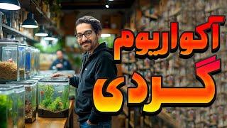 آکواریوم گردی جدید و کلی ماهی های جدید که ندیدید....