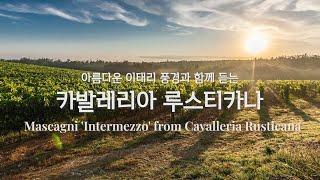 Intermezzo from Cavalleria Rusticana, Mascagni | 카발레리아 루스티카나 간주곡 마스카니 | 대부ost