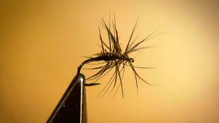 Oliver Edwards Ties the Stewarts Black Spider Wet Fly