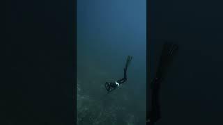 Spearfishing BIG Grouper (100 feet deep)