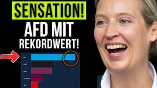 Bundestagswahl-Umfrage: AfD erzielt HISTORISCHEN Bestwert!