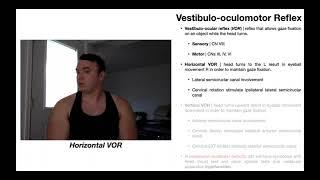 Vestibulo-Oculomotor Reflex (VOR) EXPLAINED