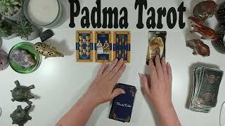 GEMINI ️WOW!THIS IS THE FULL PACKAGE!JUNE 23RD-29TH CAREER & FINANCES Weekly Tarot Reading 
