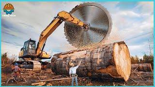 Fastest Big Chainsaw Cutting Tree Machines Skills | Tree Felling Climbing With Chainsaw