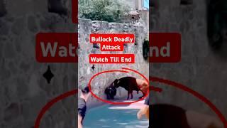 How Buffalo Deadly Attack 2 | Buffalo Power and Survival Instincts #animals #nature #viralshorts