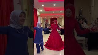 Antep Düğünleri kaynana Gelin oyunu #halay #gowend #düğün #öneçıkar #halaybaşı #antep_düğünleri