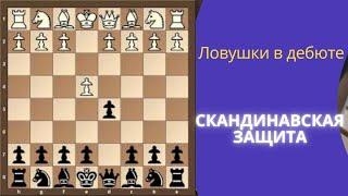 Ловушки в дебюте.  Скандинавская защита, партия с обоюдными шансами