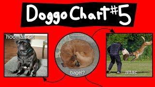 Doggo Chart - Part 5