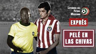 El día que PELÉ estuvo a punto de jugar con las CHIVAS (1975) | EXPRÉS