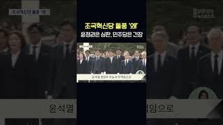 조국혁신당 돌풍 '왜'    #shorts