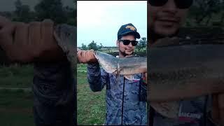 big snakehead Amir Bhai #anglers tackle india#