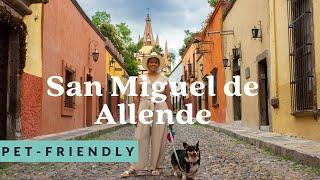 Fin de semana en San Miguel de Allende pet friendly 