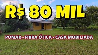 (VENDIDO) CHACARA EM SANTO ANTÔNIO DA PATRULHA COM CASA MOBILIADA, POMAR, FIBRA ÓTICA R$ 80 MIL