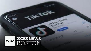 TikTok ban could be delayed under Sen. Ed Markey's proposal