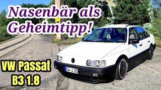 VW Passat B3 1.8 - Nasenbär als Geheimtipp | Plus & Minus & Probefahrt 2023