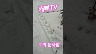 채삐TV 토끼 눈사람~~^~^~