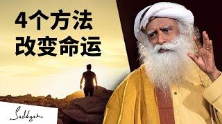 改变命运的四种方法 | Sadhguru 萨古鲁