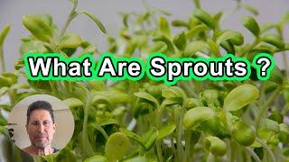 What Are Sprouts And Why You Should Care? - Doug Evans