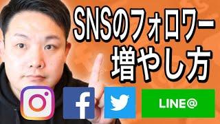 【飲食店経営】SNSのフォロワーを増やす方法【インスタグラム】