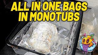 Fruiting All In One Bags In Monotubs  - ShroomTek S2 EP2