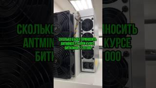 Доход Antminer T21 после халвинга 2024 ️ #asgard_mining #асики #майнинг #биткоин