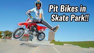 Riding Pit Bikes in Skate Park!!