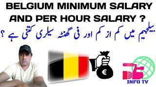 Belgium Minimum Salary And Per Hour  Salary|Belgium workers income|Info Tv |Urdu/Hindi