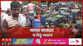 আমের গায়ে কী লেখেন বেপারিরা? | Rajshahi Mango | Mango Market | Baneswar | Somoy TV