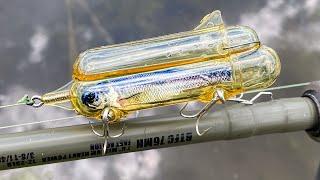 Every Minnow's Worst Nightmare