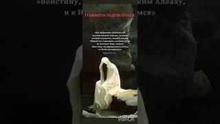 Ислам что это означает?#аллах #каран #намаз#мухаммад #молитва #ислам