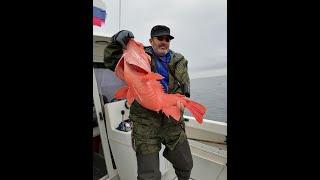 Трофейная рыбалка в Тихом океане на Камчатке