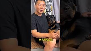撵我了开始 #拉登与阿亮的日常生活