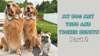 My Dog Met @TuckerBudzyn And His Son, Todd | Part 2!!