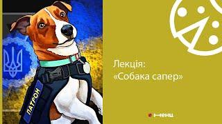 Лекція "Призначення та завдання кінологічного військового центру"