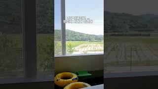 3대 가족여행:양양 숙소 썬필드의 하루