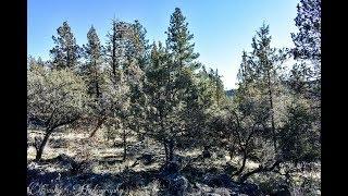 Land For Sale In Klamath County Oregon | 1.6 Acres For Only $249 a month